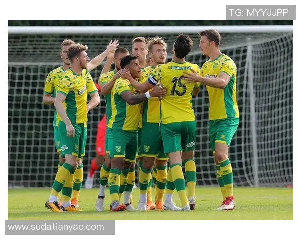 FC林肯与拖锡云的激烈对决揭示了足球战术的魅力与球队实力的较量