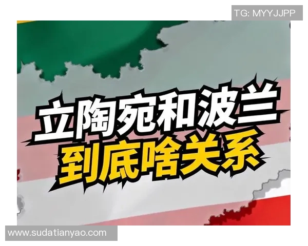 波兰与立陶宛足球比赛实时比分更新及精彩瞬间回顾